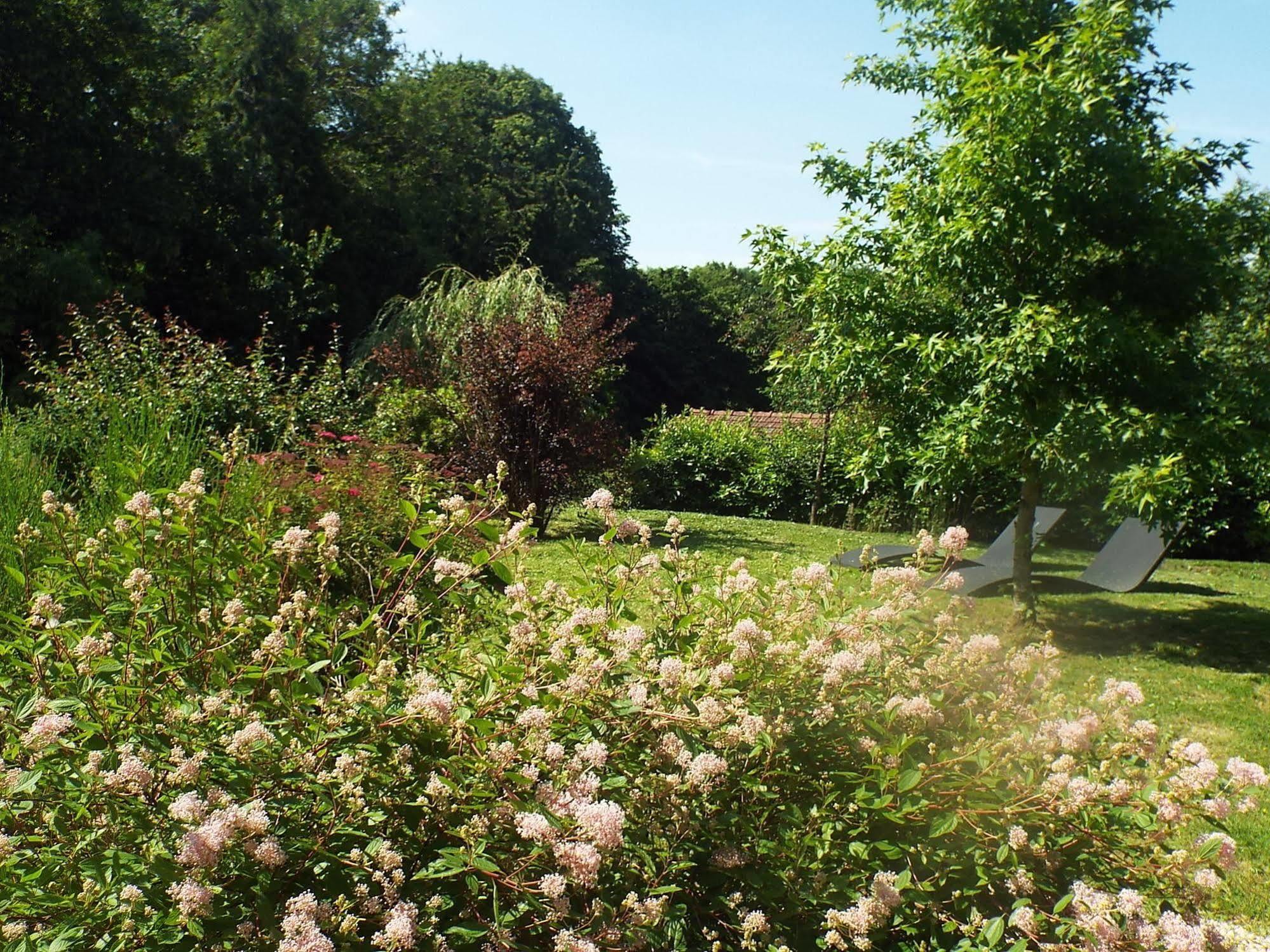 Les Roses de Montherlant Extérieur photo